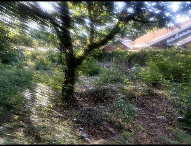 3 BEDROOM HOUSE FOR SALE IN POLOKWANE CENTRAL